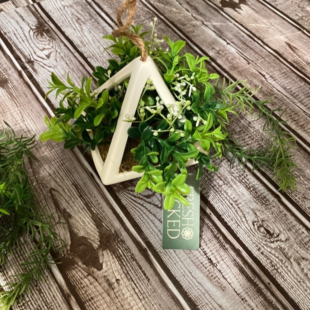 Hanging Plant Arrangement (Set of 2) - Picture 2 of 5